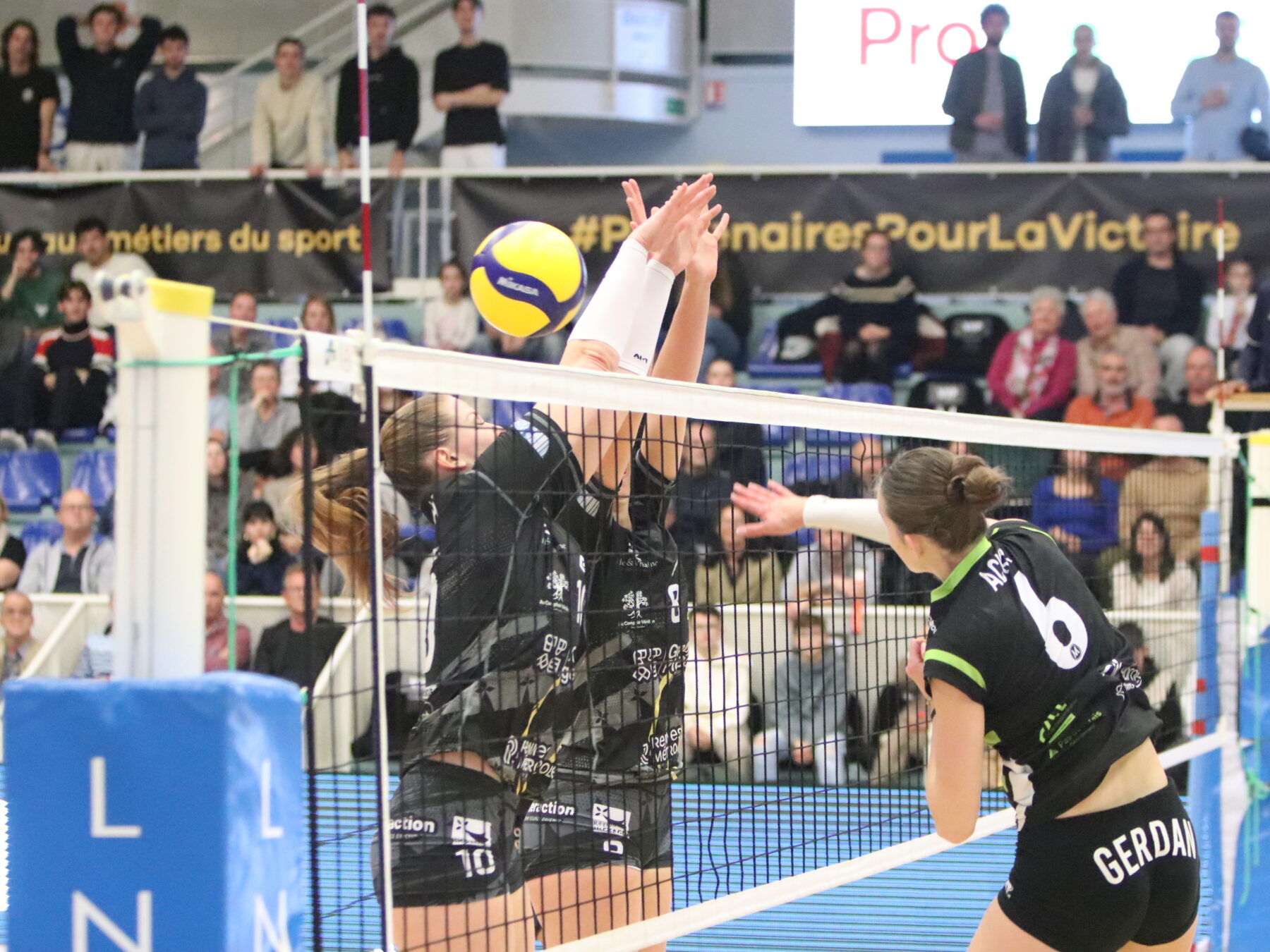 Du positif mais une nouvelle défaite pour les filles du REC Volley