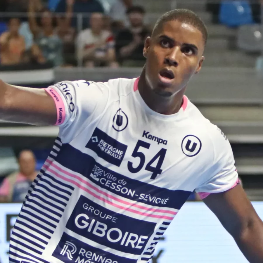 Ludwig Appolinaire, le couteau suisse du CRMHB.