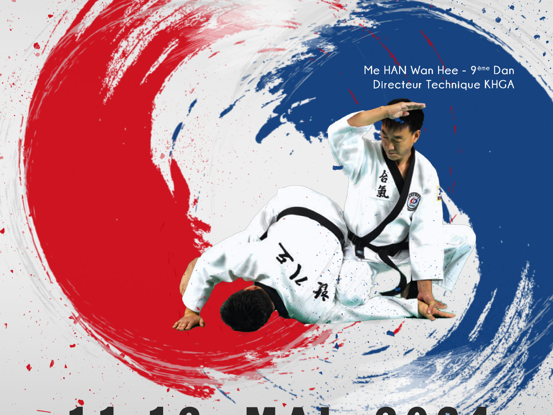 Plus de 30 ans d'existence pour l'Association Rennaise de Hapkido.