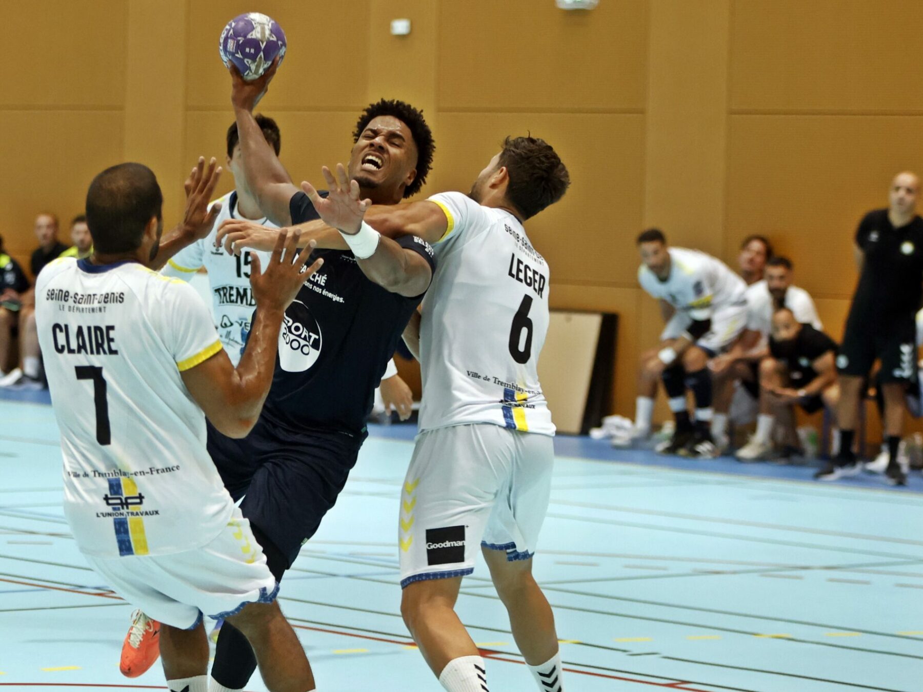 Ludwig Appolinaire au duel