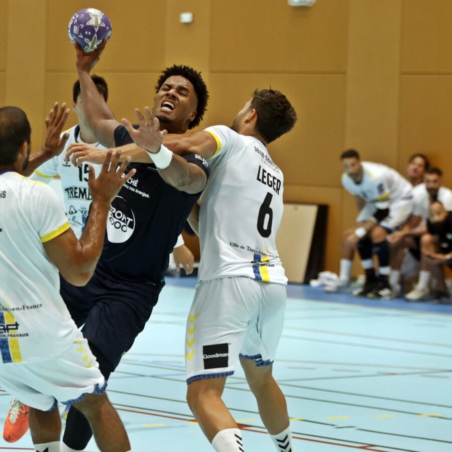 Ludwig Appolinaire au duel
