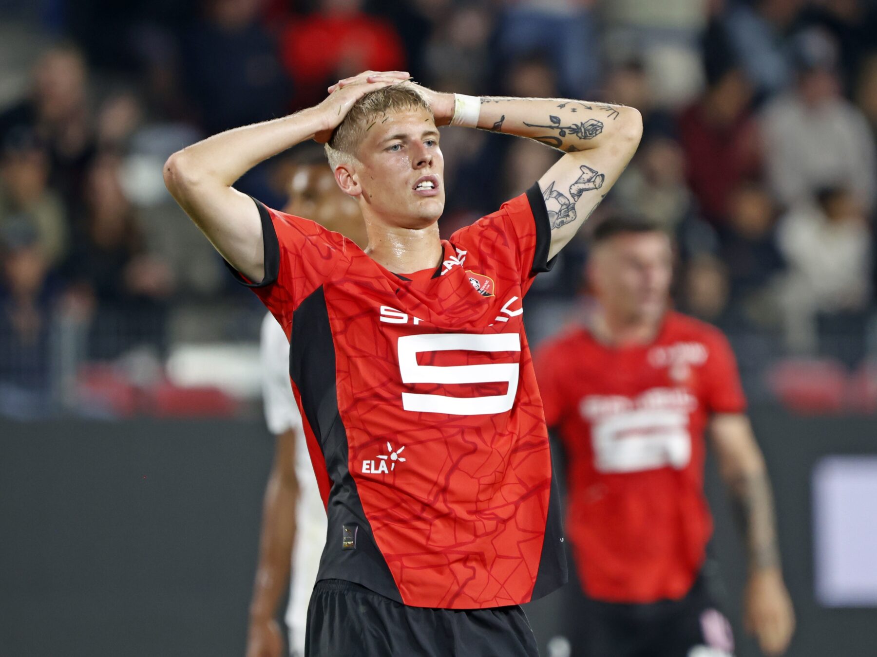 Albert Gronbeak et Rennes plein de regrets