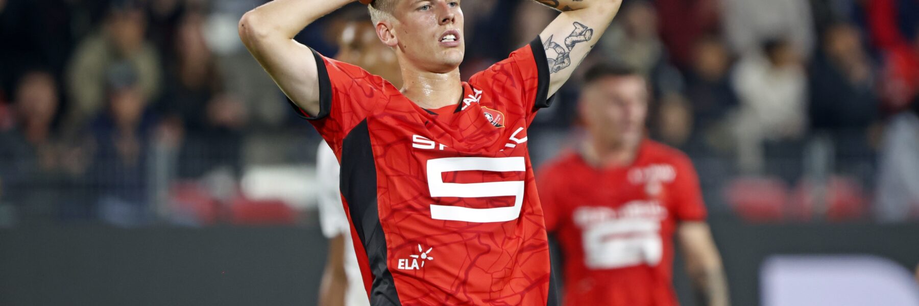 Albert Gronbeak et Rennes plein de regrets