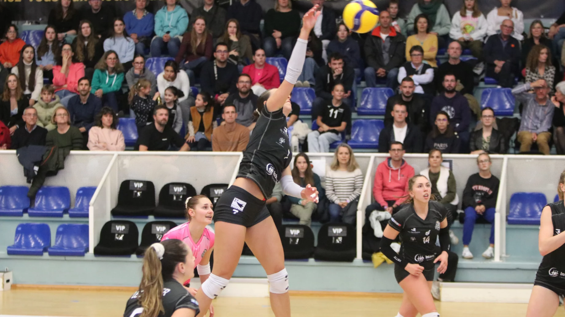 Les filles du REC Volley s'imposent à Mauguio.