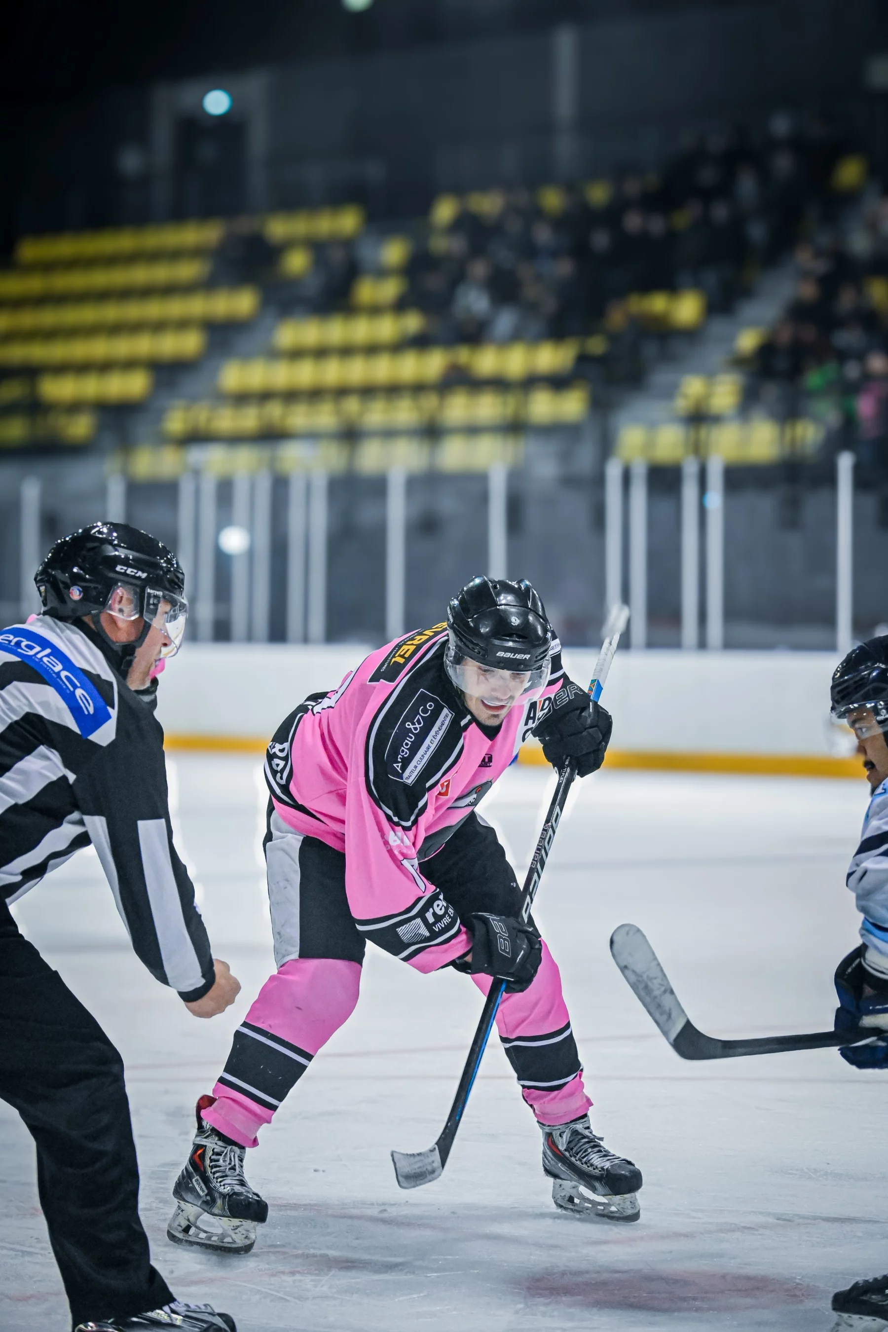 Zoom sur la saison des Cormorans de Rennes.