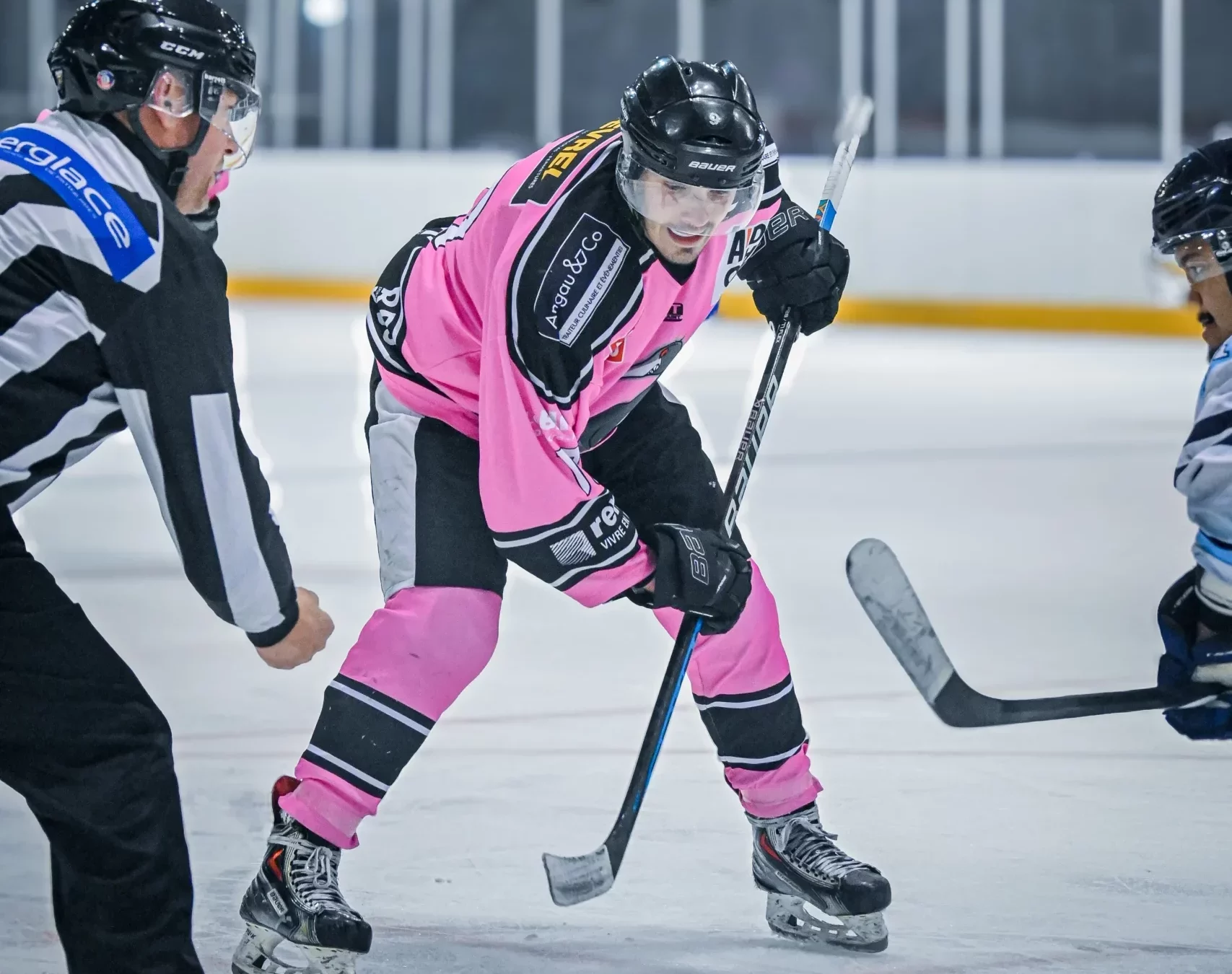 Zoom sur la saison des Cormorans de Rennes.