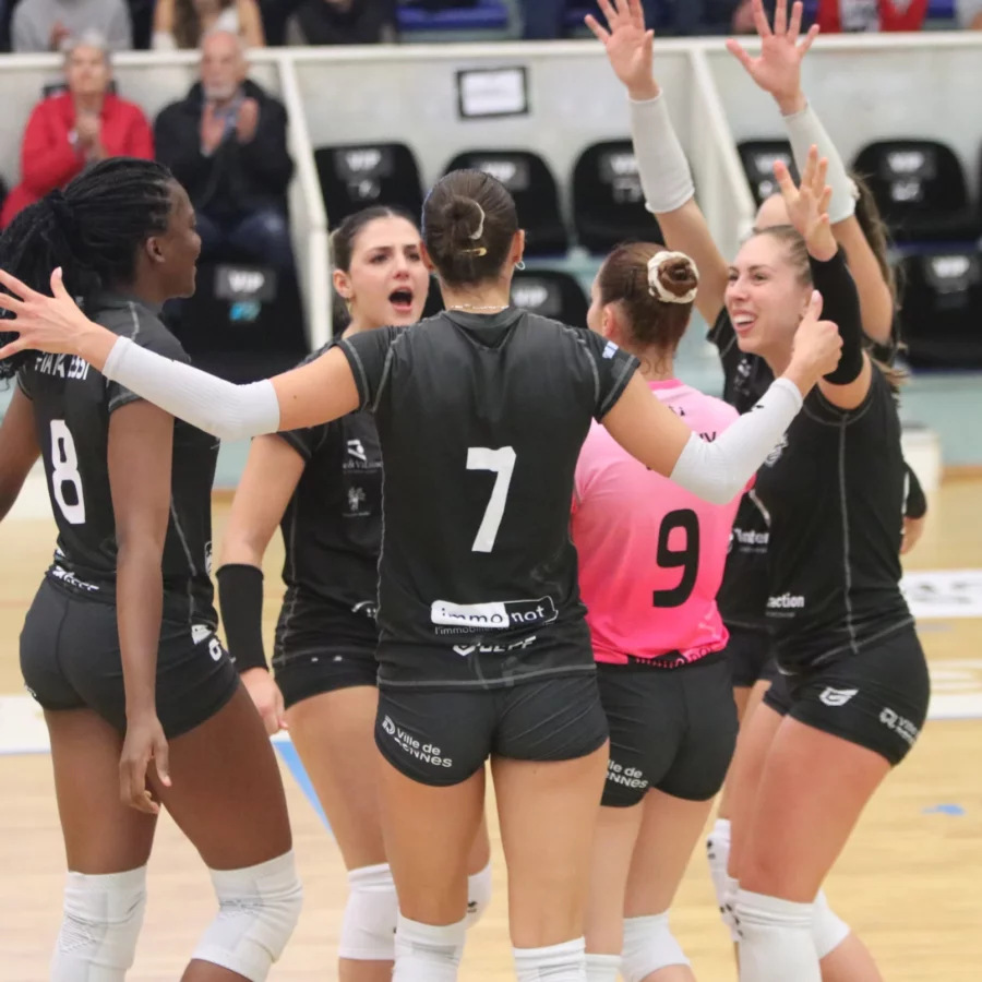 Les Hermines s’imposent au bout du suspense contre Vienne.