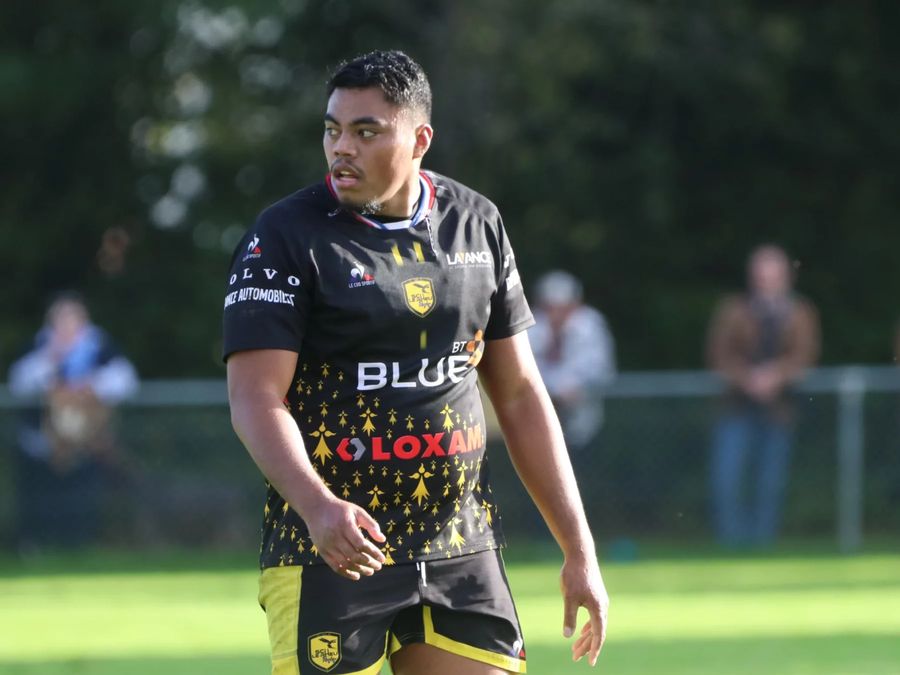 Portrait Peretau Tehoiri.