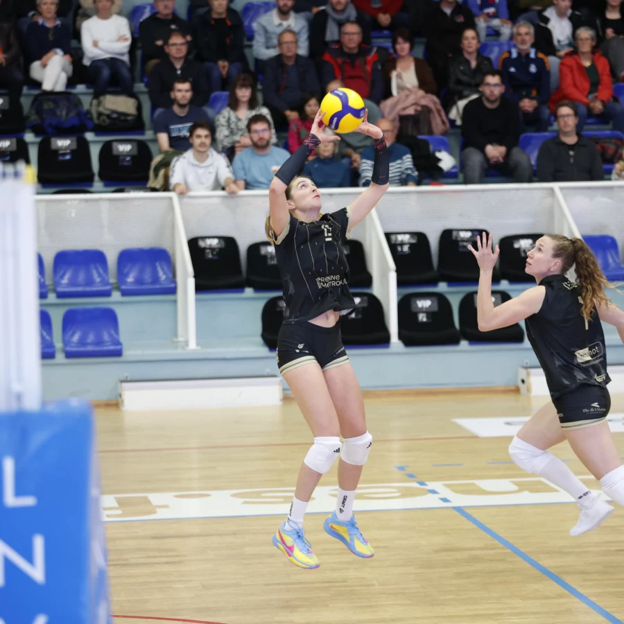 Les Hermines expéditives à Balma.