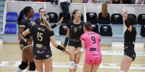 Les Hermines irrésistibles à Vienne