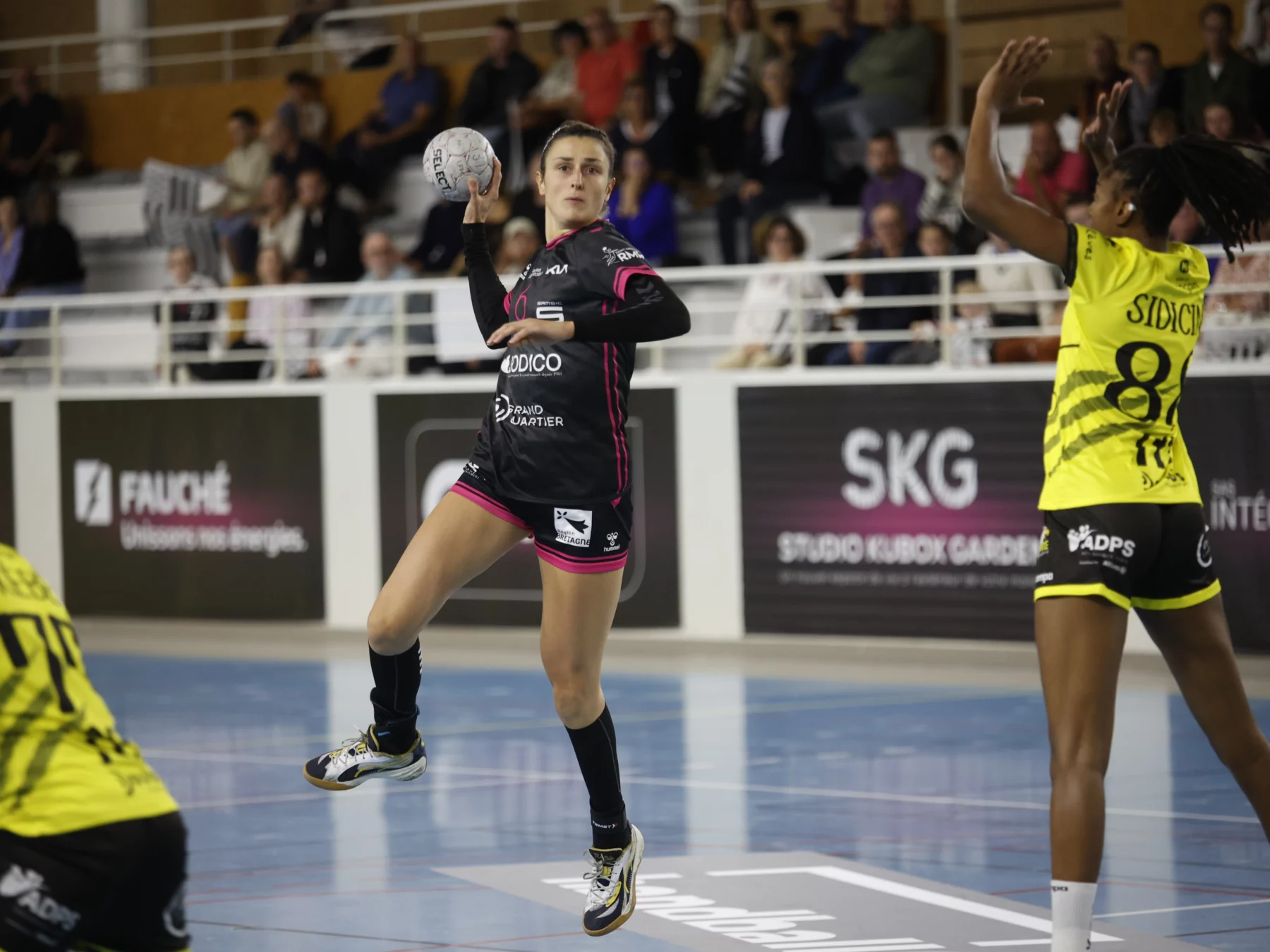 Entretien avec Claire Scheid.