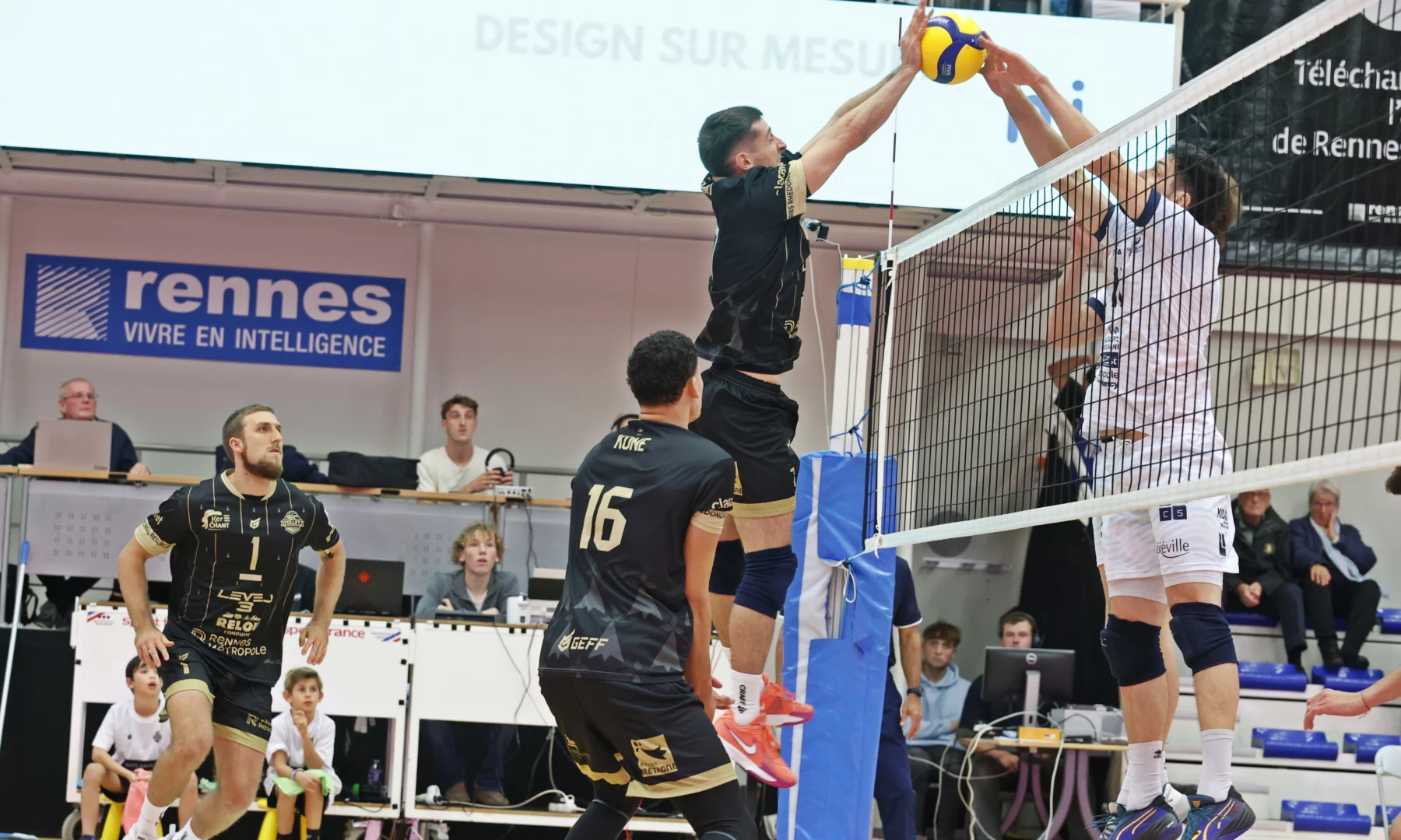 Le REC Volley méritant mais encore battu face à Reims