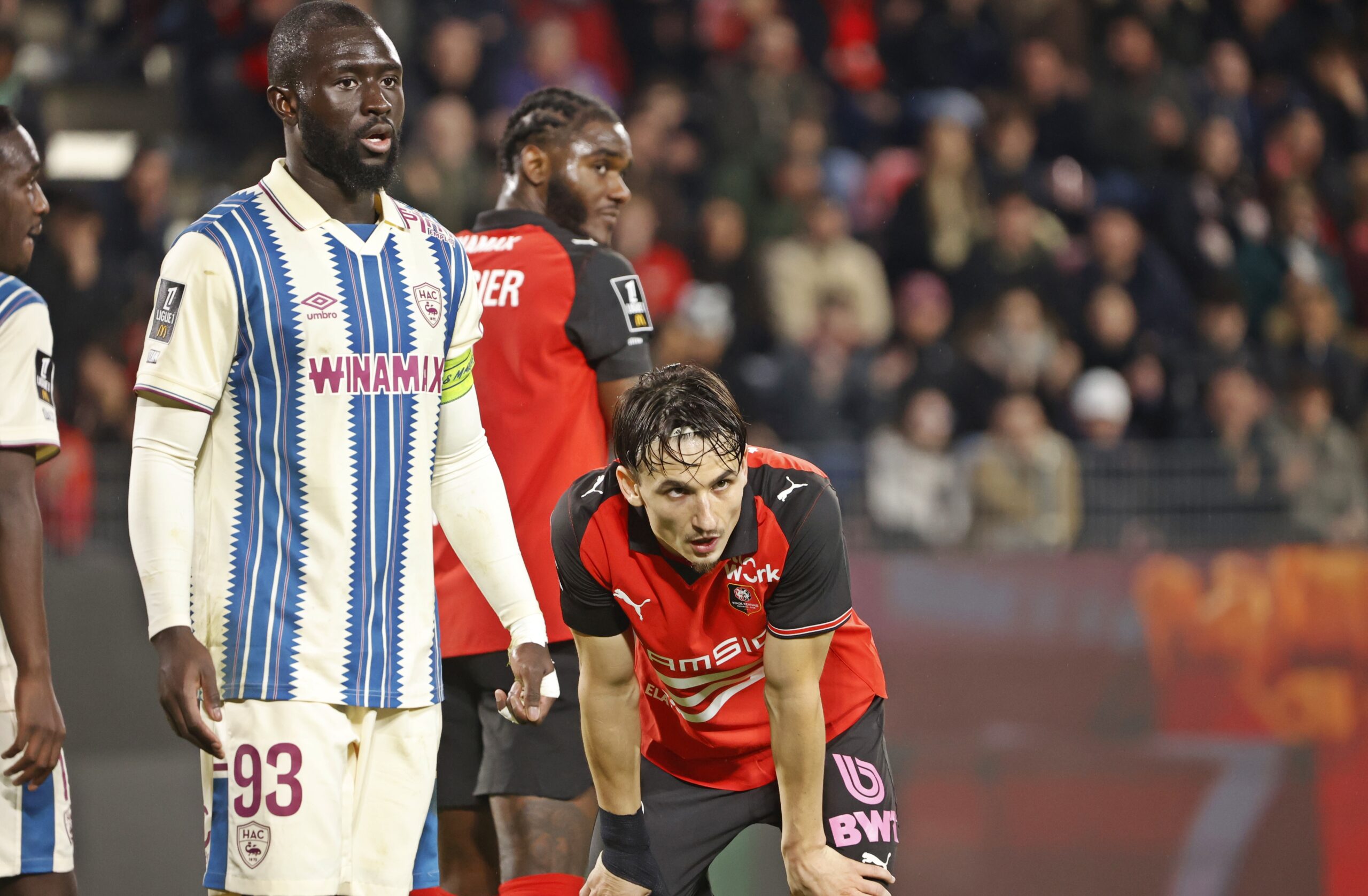 Football – Ligue 1 : Le Stade Rennais méritait mieux face au Havre (1-1)
