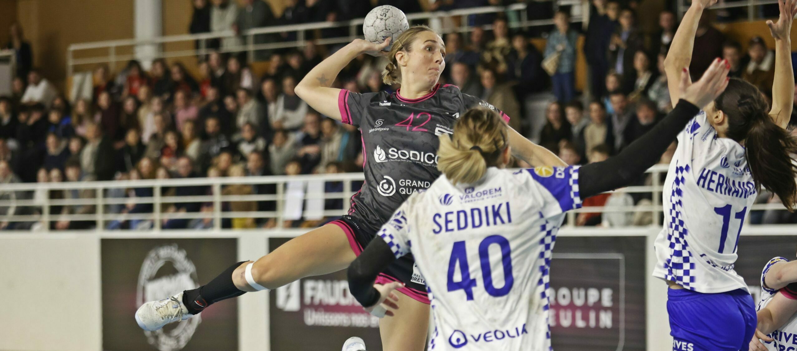 Handball : Saint-Grgoire parvient s'imposer La Roche Handball : Saint-Grgoire parvient s'imposer La Roche
