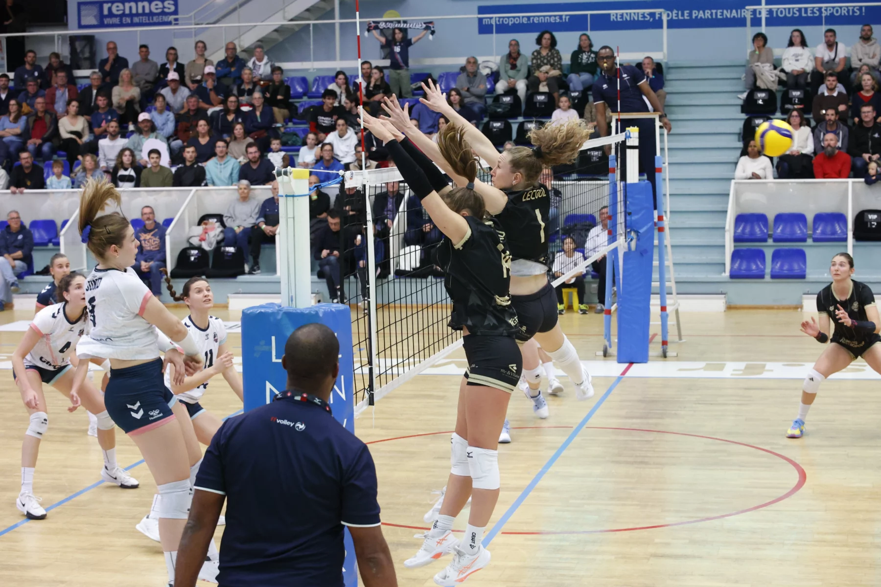 Les Hermines éliminées au finish par Quimper