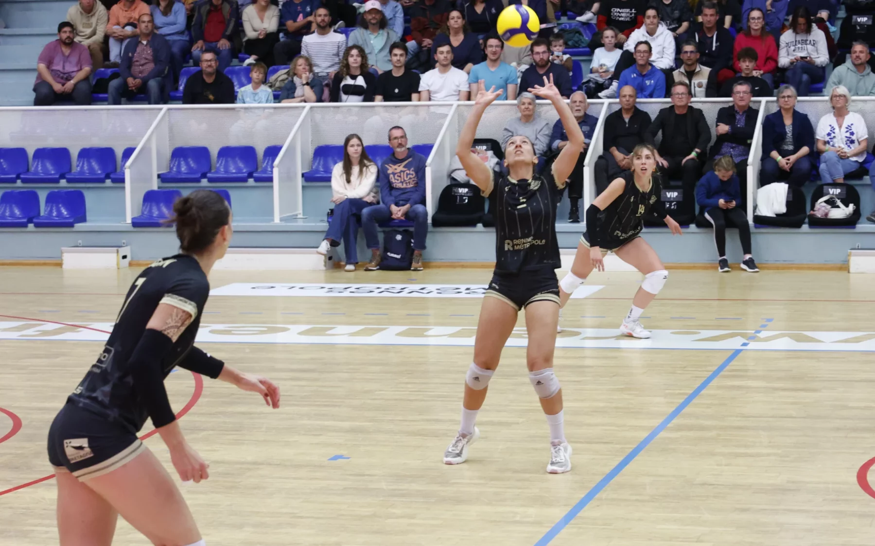 Victorieuses contre Balma, les Hermines valident leur ticket pour les play-offs