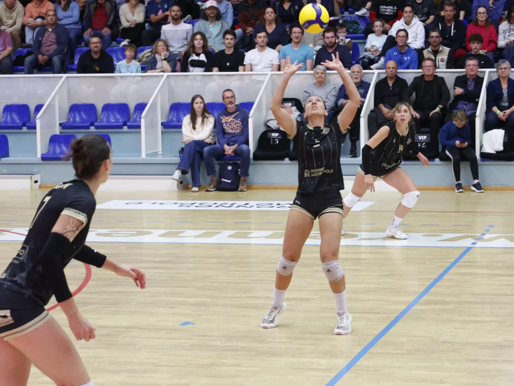 Victorieuses contre Balma, les Hermines valident leur ticket pour les play-offs