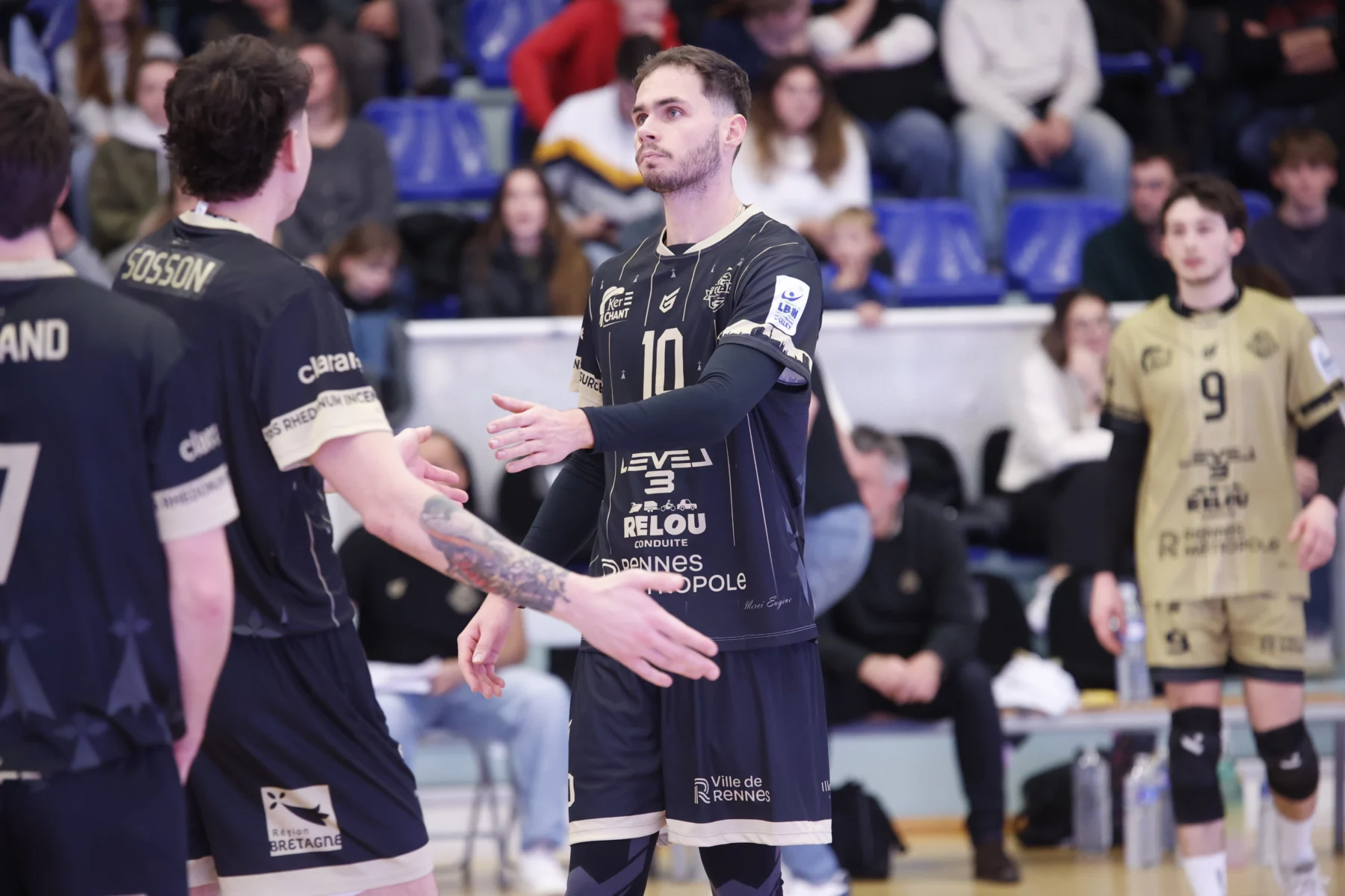 Le REC Volley sèchement battu par Fréjus