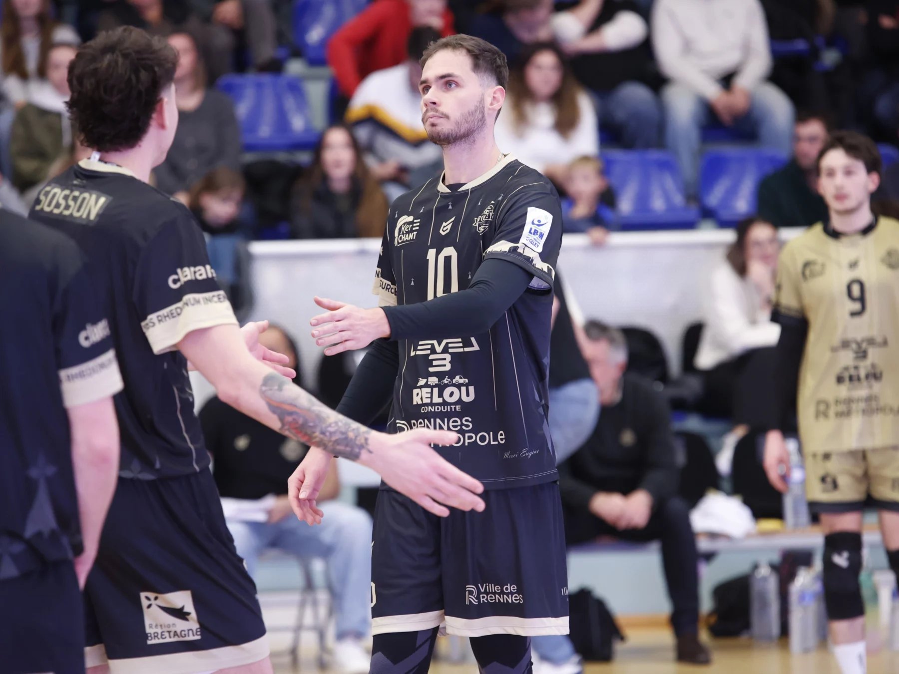 Le REC Volley sèchement battu par Fréjus