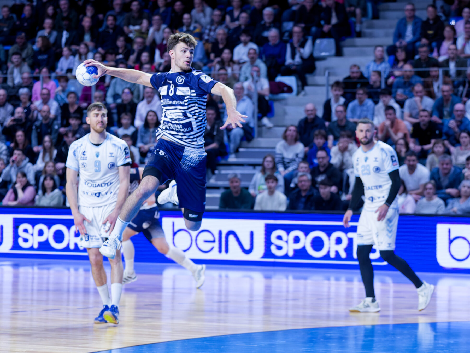 Cesson étrille Chartres